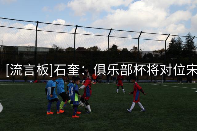 [流言板]石奎：俱乐部杯将对位宋昕澔就是平常心，未来有很多可能性